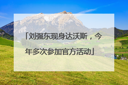 刘强东现身达沃斯，今年多次参加官方活动