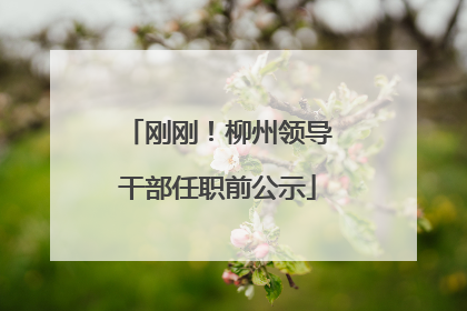 刚刚！柳州领导干部任职前公示