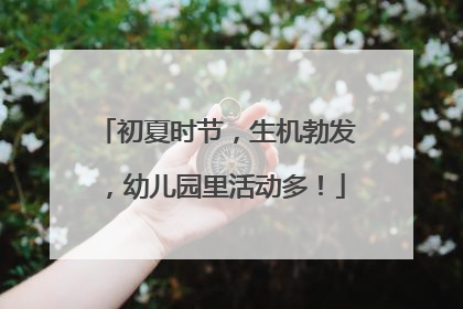 初夏时节，生机勃发，幼儿园里活动多！