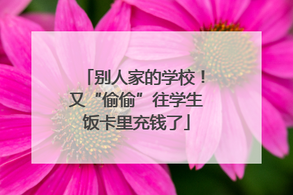 别人家的学校！又“偷偷”往学生饭卡里充钱了