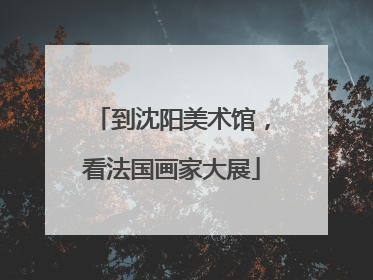 到沈阳美术馆，看法国画家大展