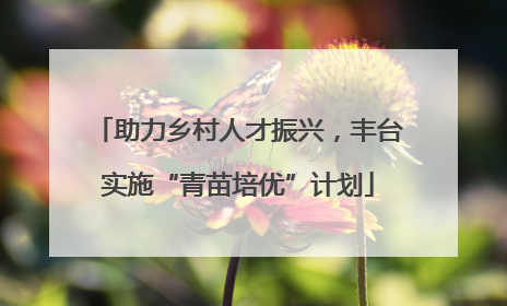 助力乡村人才振兴，丰台实施“青苗培优”计划