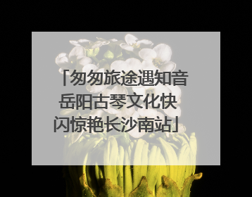 匆匆旅途遇知音 岳阳古琴文化快闪惊艳长沙南站