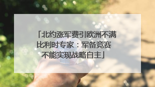 北约涨军费引欧洲不满 比利时专家：军备竞赛不能实现战略自主