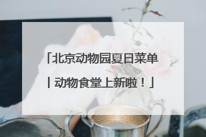 北京动物园夏日菜单丨动物食堂上新啦！