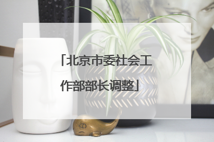 北京市委社会工作部部长调整