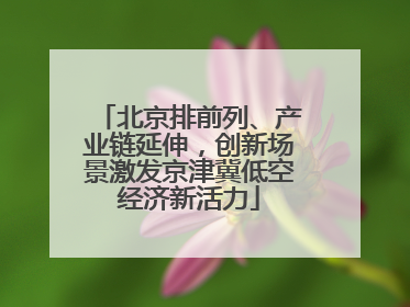 北京排前列、产业链延伸，创新场景激发京津冀低空经济新活力