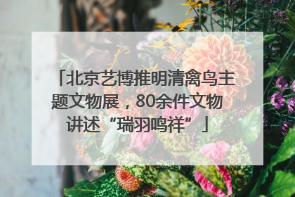 北京艺博推明清禽鸟主题文物展，80余件文物讲述“瑞羽鸣祥”