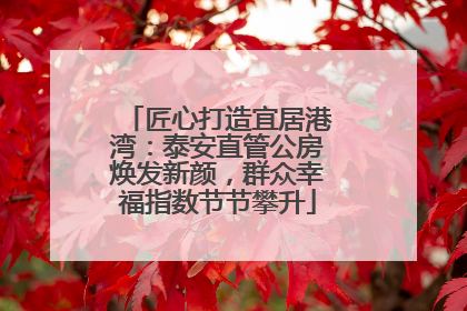 匠心打造宜居港湾：泰安直管公房焕发新颜，群众幸福指数节节攀升
