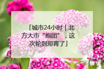 城市24小时｜北方大市“抱团”，这次轮到郑青了