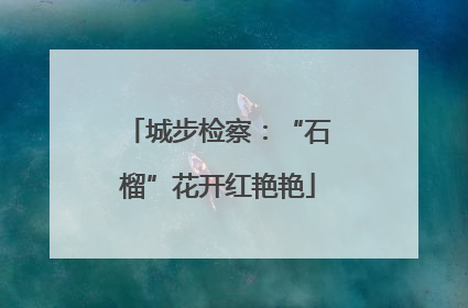 城步检察：“石榴”花开红艳艳