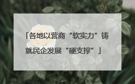 各地以营商“软实力”铸就民企发展“硬支撑”