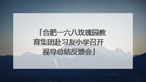 合肥一六八玫瑰园教育集团赴习友小学召开视导总结反馈会