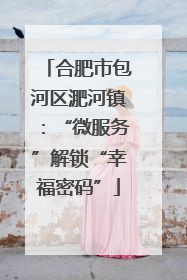 合肥市包河区淝河镇：“微服务”解锁“幸福密码”