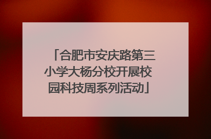 合肥市安庆路第三小学大杨分校开展校园科技周系列活动