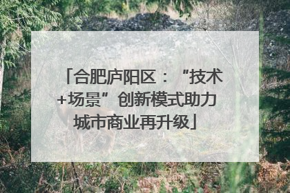 合肥庐阳区：“技术+场景”创新模式助力城市商业再升级