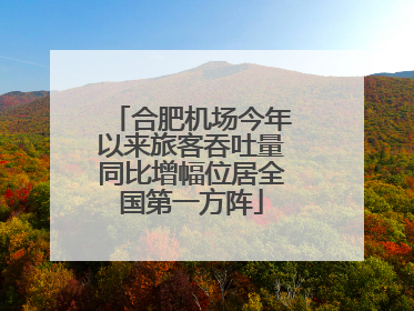 合肥机场今年以来旅客吞吐量同比增幅位居全国第一方阵