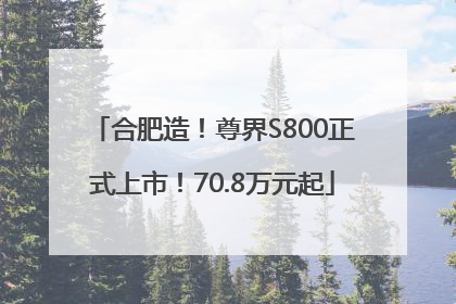 合肥造！尊界S800正式上市！70.8万元起