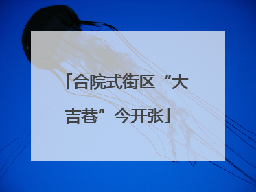 合院式街区“大吉巷”今开张