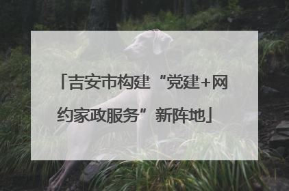 吉安市构建“党建+网约家政服务”新阵地