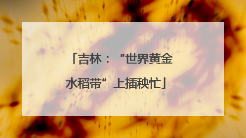 吉林：“世界黄金水稻带”上插秧忙
