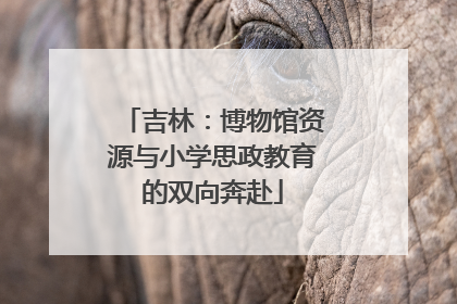 吉林：博物馆资源与小学思政教育的双向奔赴