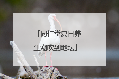 同仁堂夏日养生潮吹到地坛
