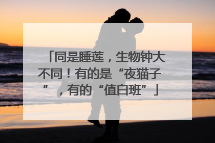 同是睡莲，生物钟大不同！有的是“夜猫子”，有的“值白班”