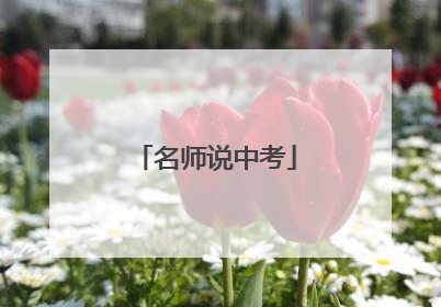 名师说中考