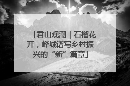 君山观潮｜石榴花开，峄城谱写乡村振兴的“新”篇章