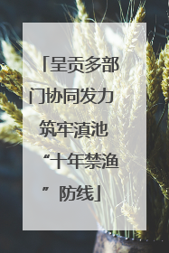 呈贡多部门协同发力 筑牢滇池“十年禁渔”防线