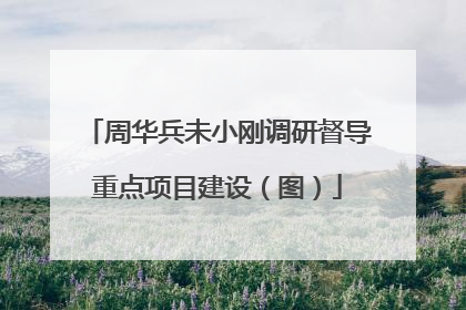 周华兵未小刚调研督导重点项目建设（图）