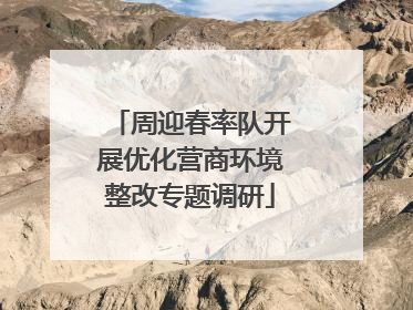 周迎春率队开展优化营商环境整改专题调研