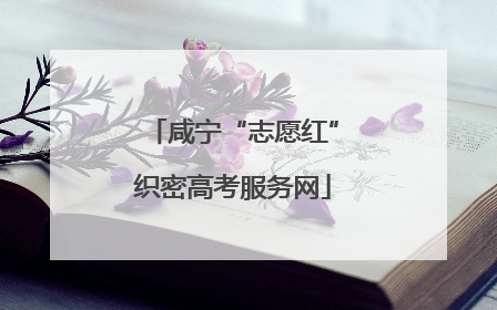 咸宁“志愿红”织密高考服务网