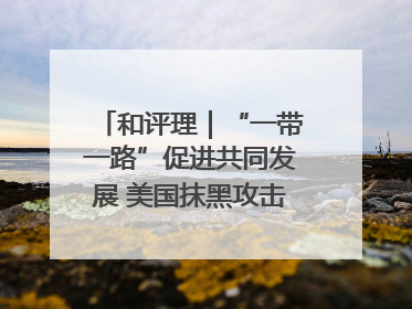 和评理｜“一带一路”促进共同发展 美国抹黑攻击酸味十足