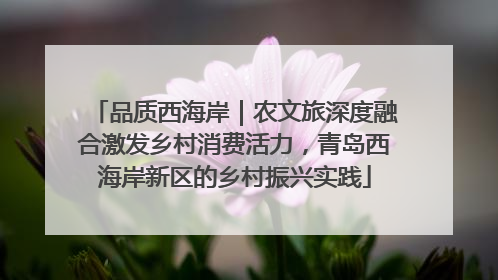 品质西海岸｜农文旅深度融合激发乡村消费活力，青岛西海岸新区的乡村振兴实践