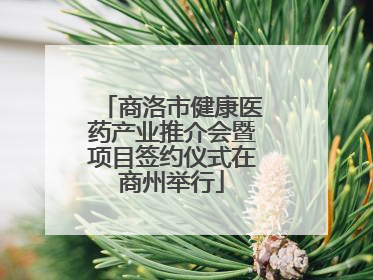 商洛市健康医药产业推介会暨项目签约仪式在商州举行