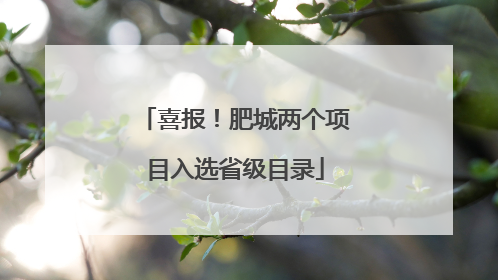 喜报！肥城两个项目入选省级目录