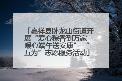 嘉祥县卧龙山街道开展“爱心粽香到万家 暖心端午送安康” “五为”志愿服务活动