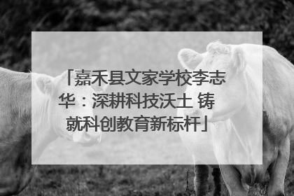 嘉禾县文家学校李志华：深耕科技沃土 铸就科创教育新标杆