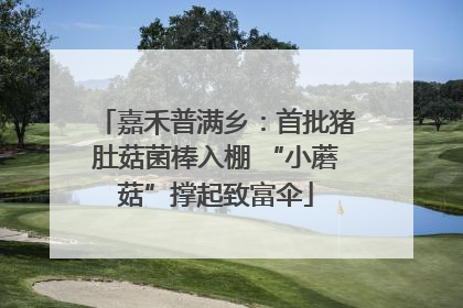嘉禾普满乡：首批猪肚菇菌棒入棚 “小蘑菇”撑起致富伞