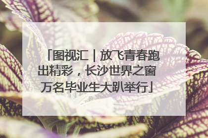 图视汇｜放飞青春跑出精彩，长沙世界之窗万名毕业生大趴举行