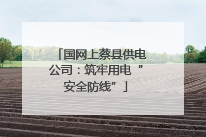 国网上蔡县供电公司：筑牢用电“安全防线”