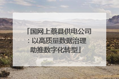 国网上蔡县供电公司：以高质量数据治理 助推数字化转型