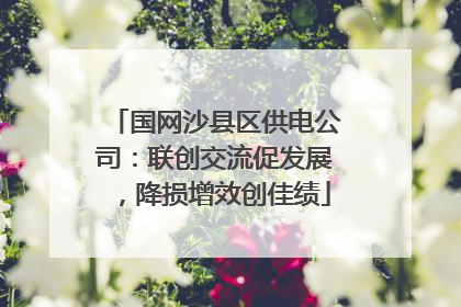 国网沙县区供电公司：联创交流促发展，降损增效创佳绩