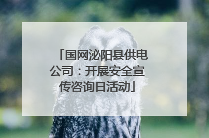 国网泌阳县供电公司：开展安全宣传咨询日活动
