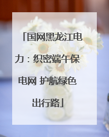 国网黑龙江电力：织密端午保电网 护航绿色出行路