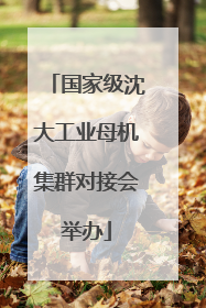 国家级沈大工业母机集群对接会举办