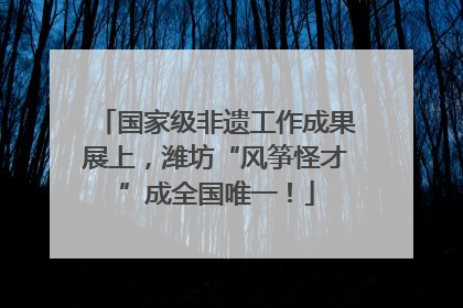 国家级非遗工作成果展上，潍坊“风筝怪才”成全国唯一！