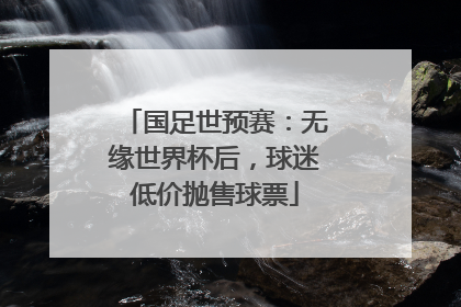 国足世预赛：无缘世界杯后，球迷低价抛售球票